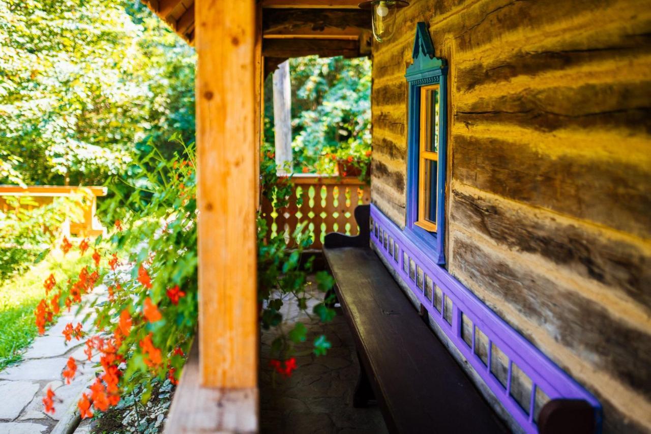 Vişeu de Sus Casa Lu' Ionヴィラ エクステリア 写真