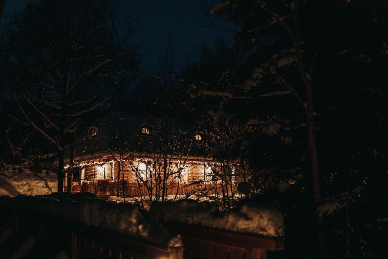 Vişeu de Sus Casa Lu' Ionヴィラ エクステリア 写真