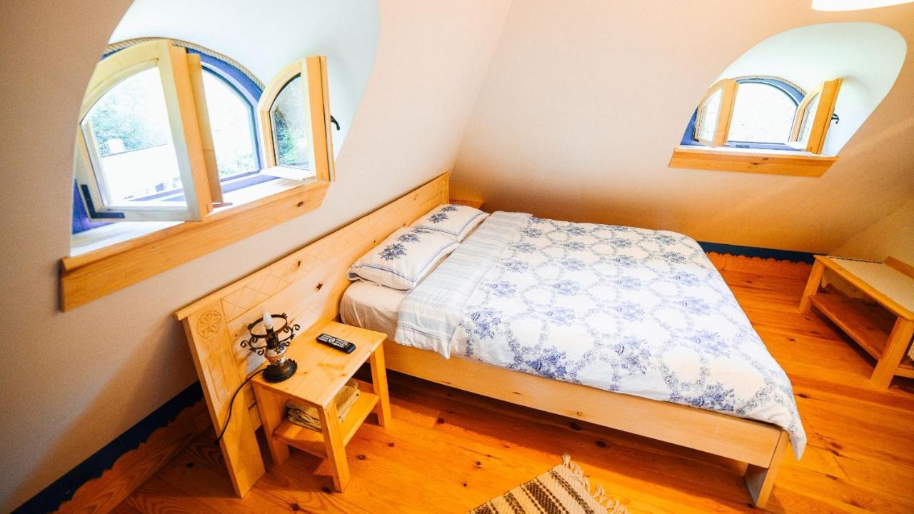 Vişeu de Sus Casa Lu' Ionヴィラ エクステリア 写真