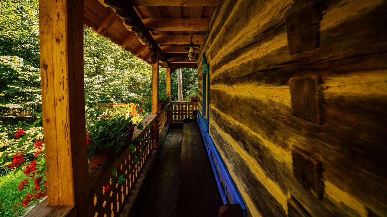 Vişeu de Sus Casa Lu' Ionヴィラ エクステリア 写真
