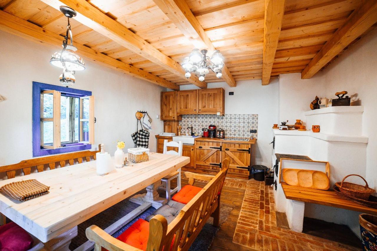Vişeu de Sus Casa Lu' Ionヴィラ エクステリア 写真