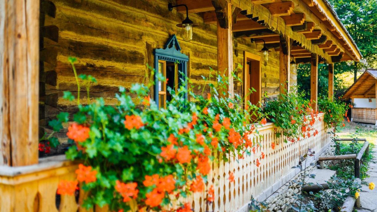 Vişeu de Sus Casa Lu' Ionヴィラ エクステリア 写真