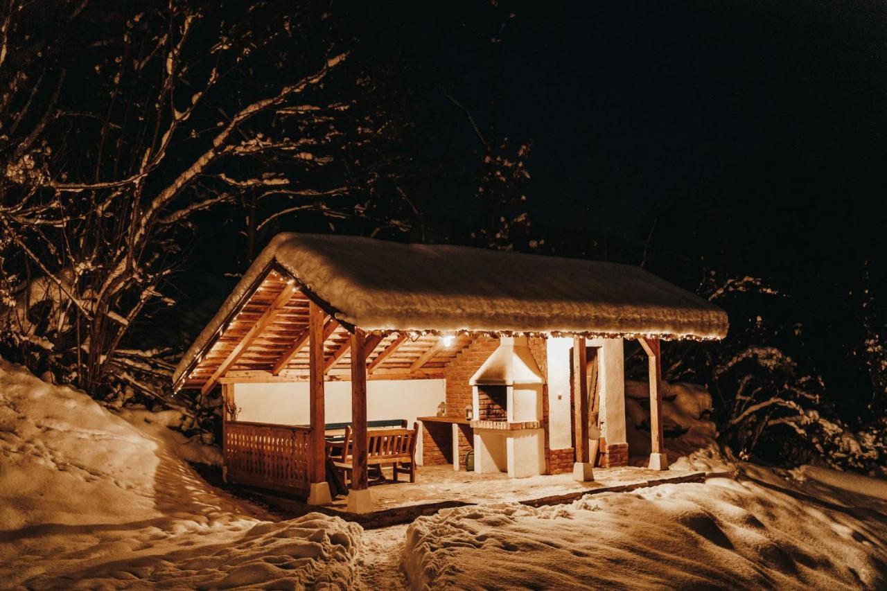 Vişeu de Sus Casa Lu' Ionヴィラ エクステリア 写真