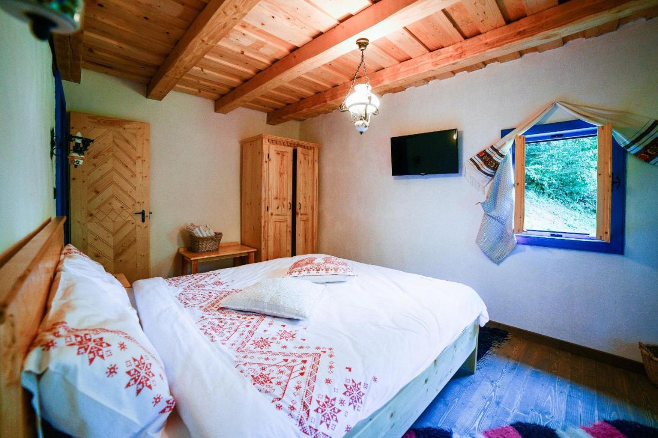 Vişeu de Sus Casa Lu' Ionヴィラ エクステリア 写真