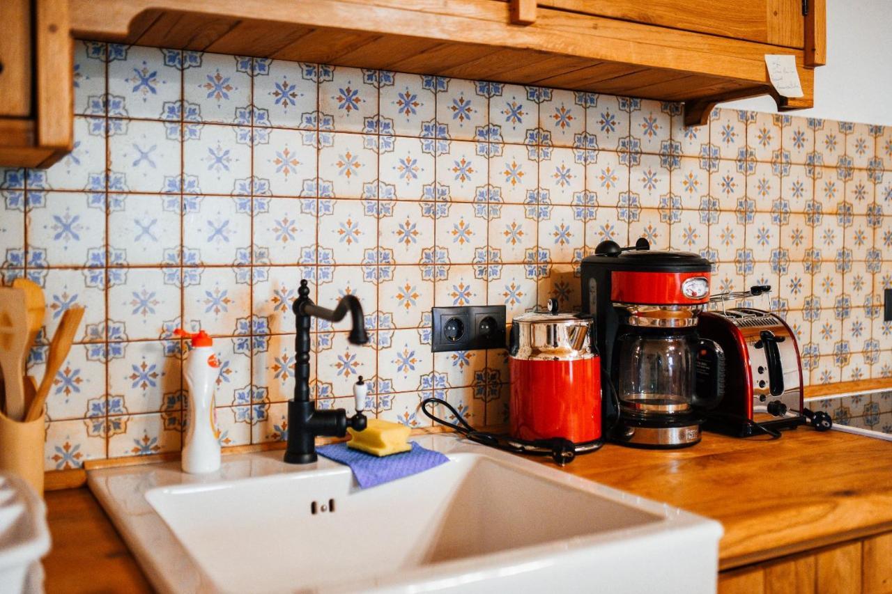 Vişeu de Sus Casa Lu' Ionヴィラ エクステリア 写真