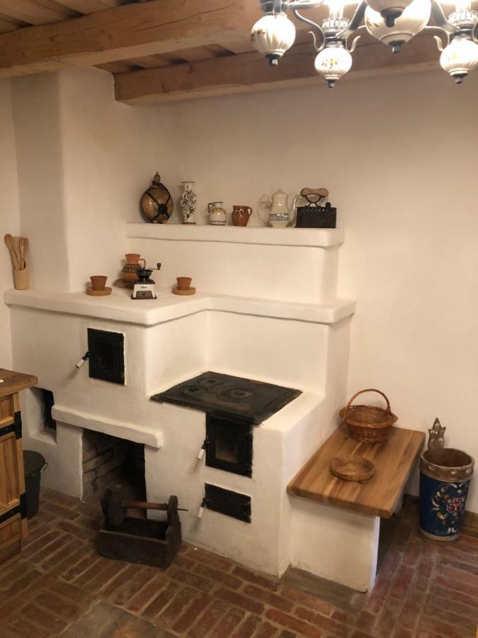 Vişeu de Sus Casa Lu' Ionヴィラ エクステリア 写真