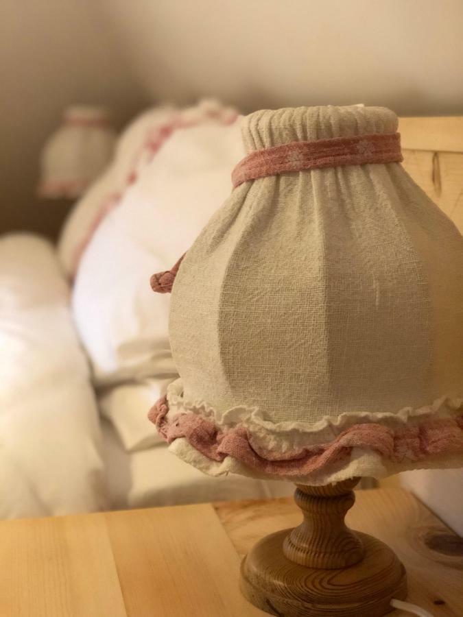 Vişeu de Sus Casa Lu' Ionヴィラ エクステリア 写真