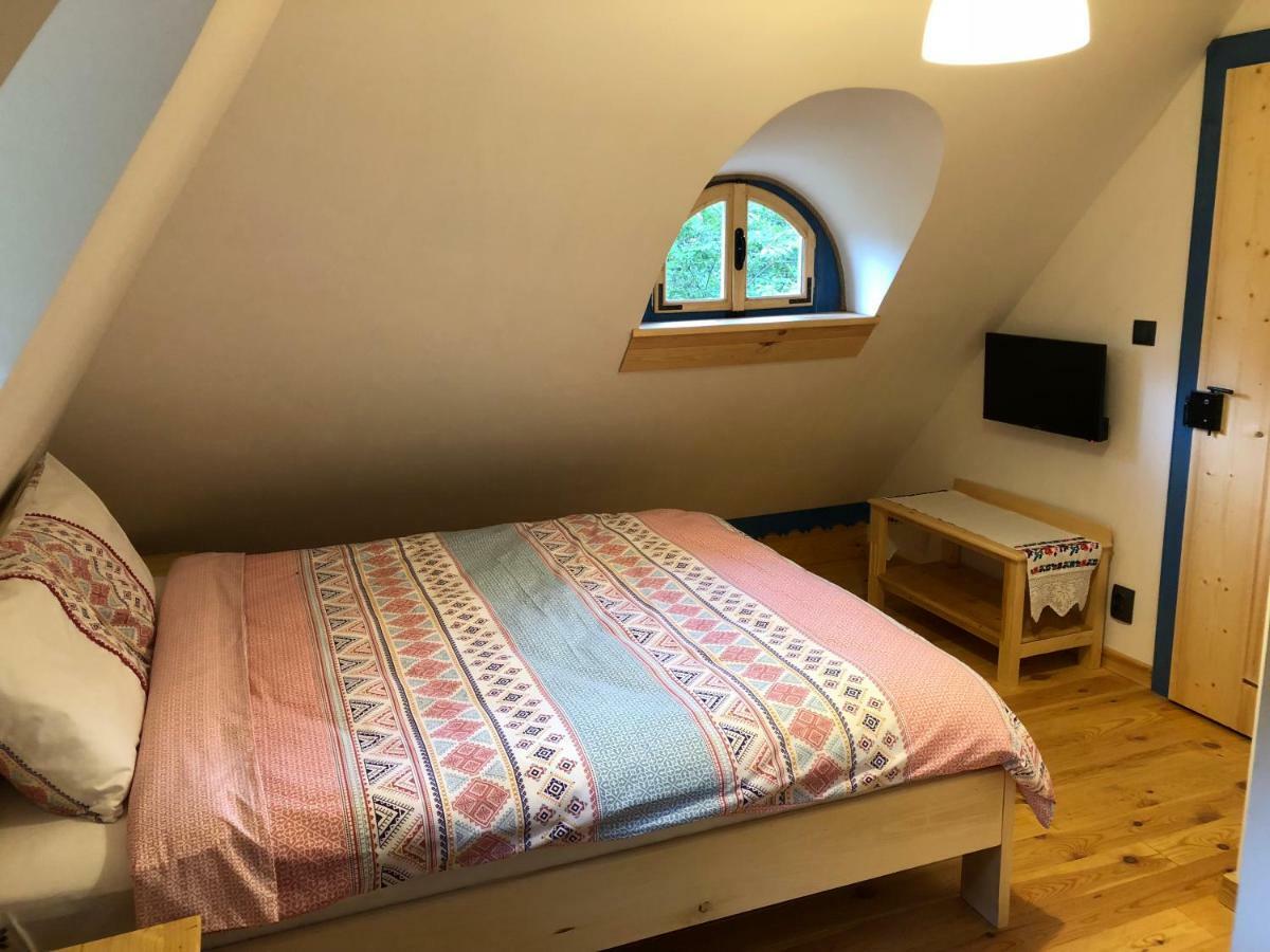 Vişeu de Sus Casa Lu' Ionヴィラ エクステリア 写真