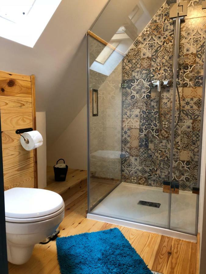 Vişeu de Sus Casa Lu' Ionヴィラ エクステリア 写真